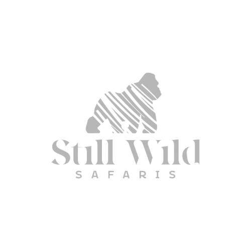 Still Wild Safaris