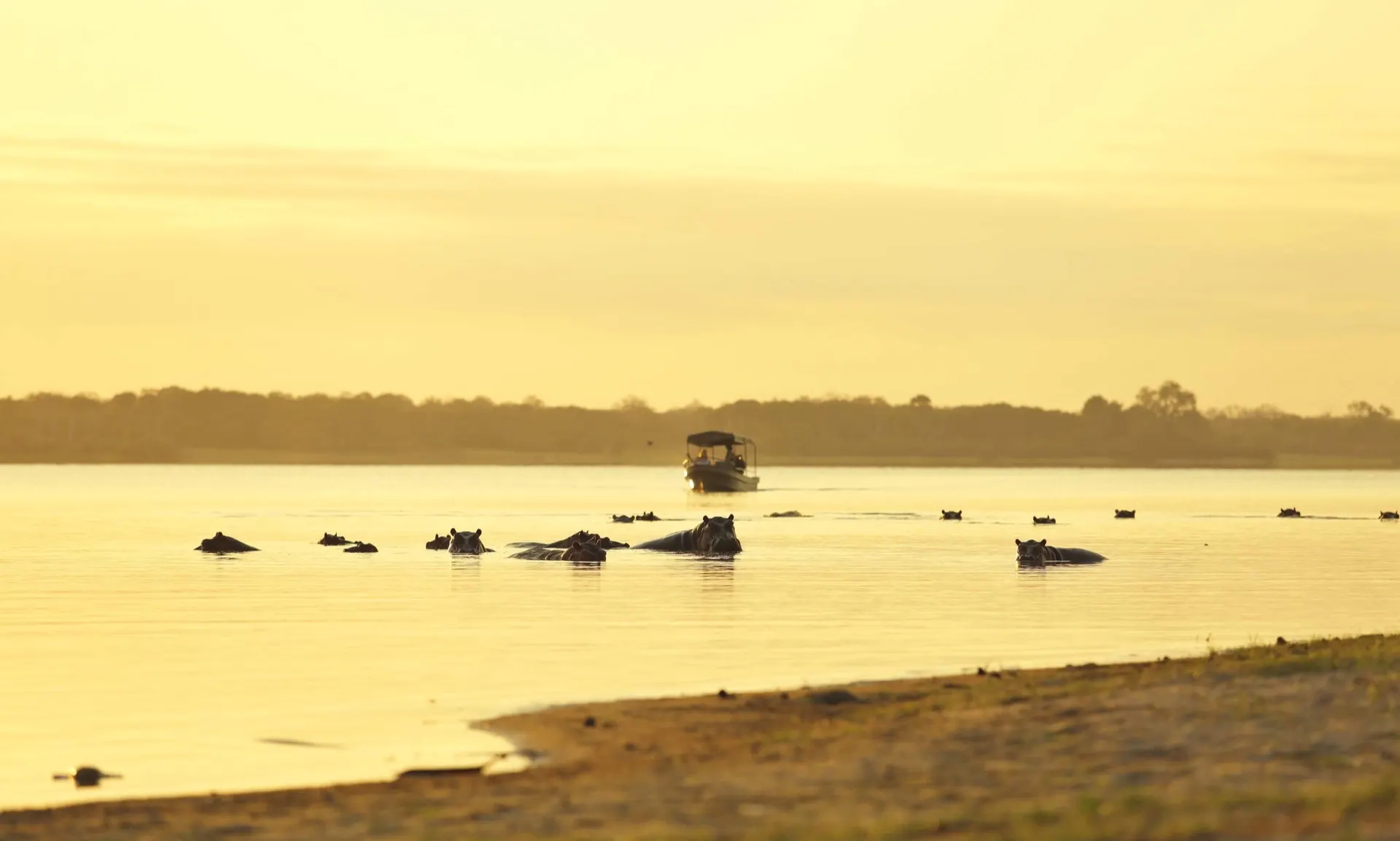 Kazinga Channel Boat Cruise