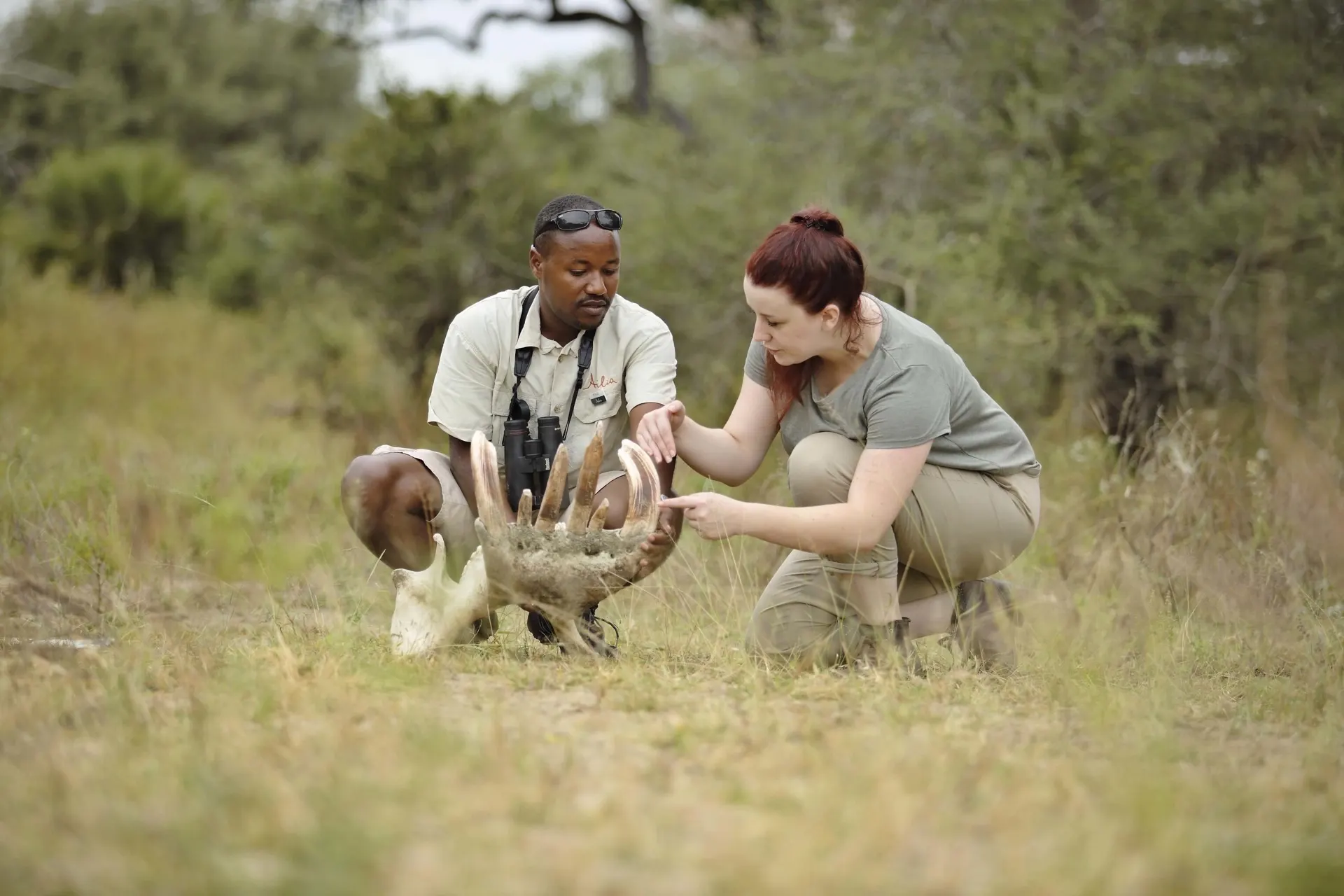 Walking Safaris