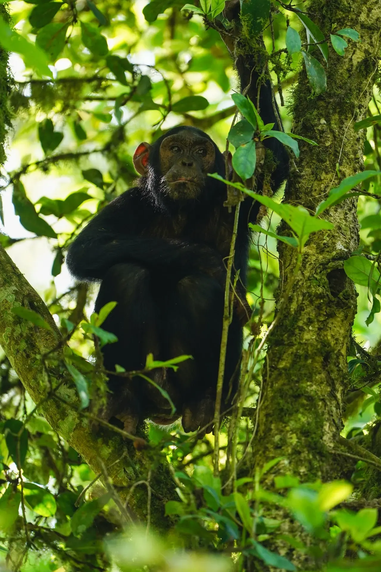 Kampala to Kibale National Park