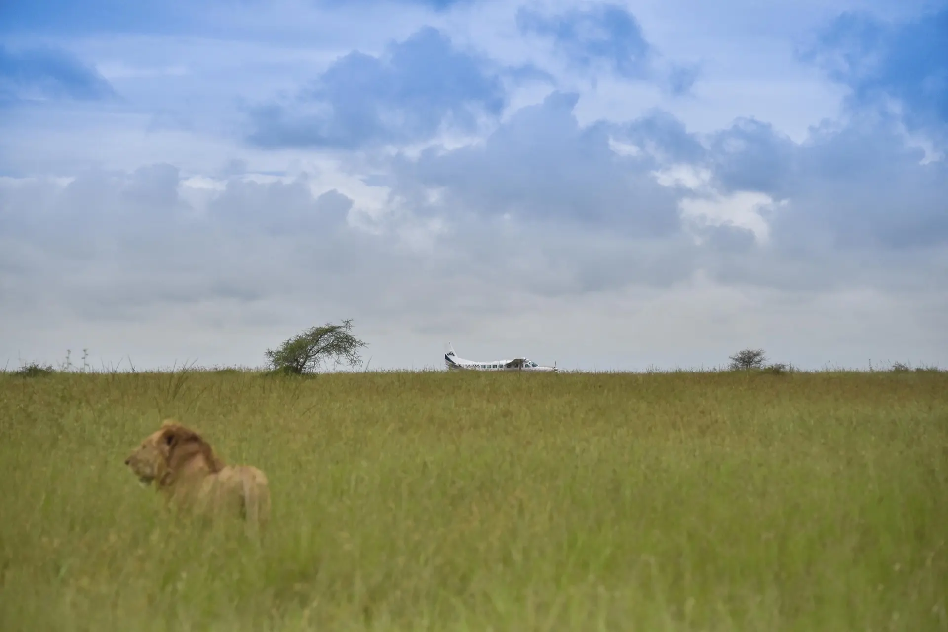 The Ngorongoro Crater Descent & Return to Arusha