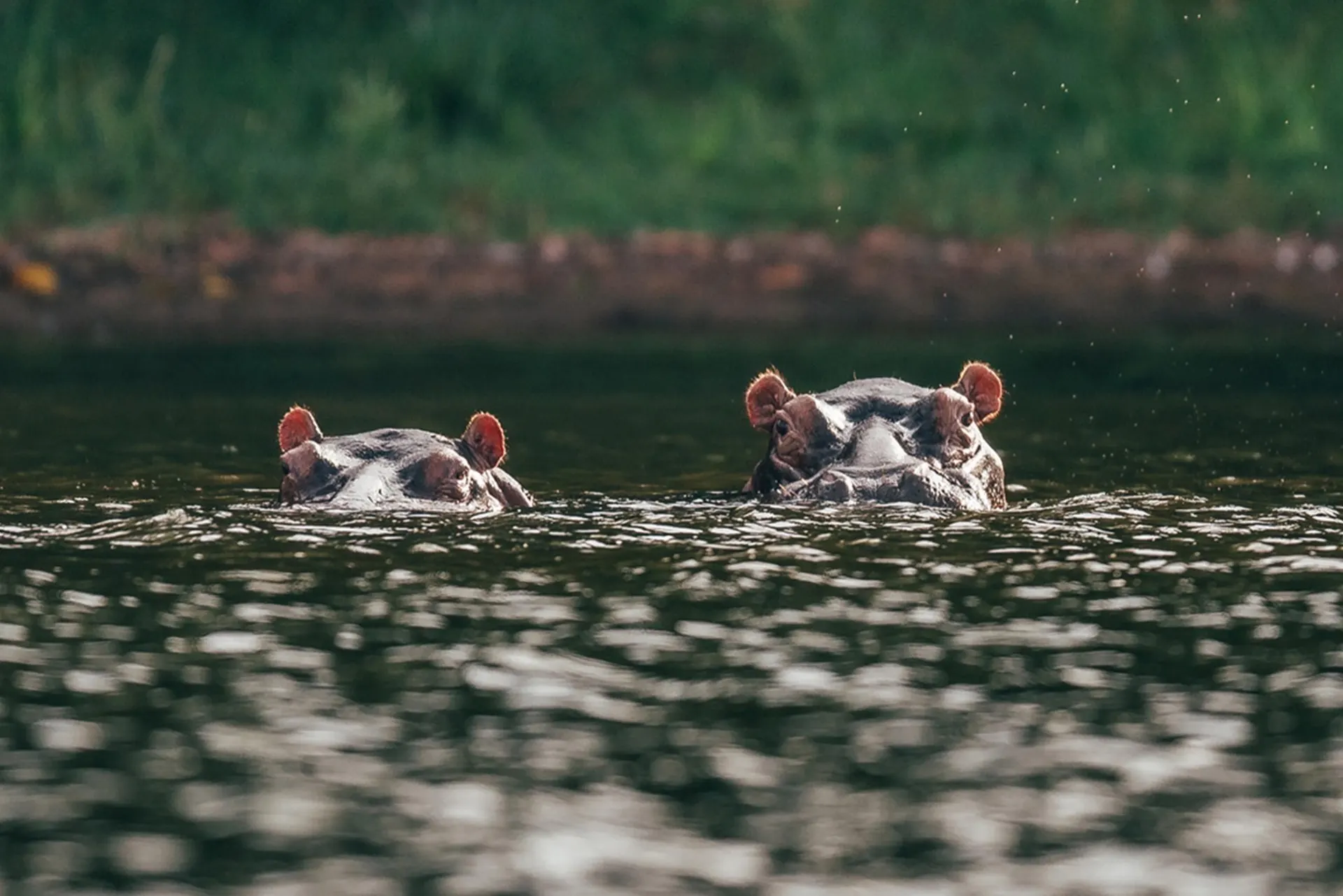Lake Manyara National Park
