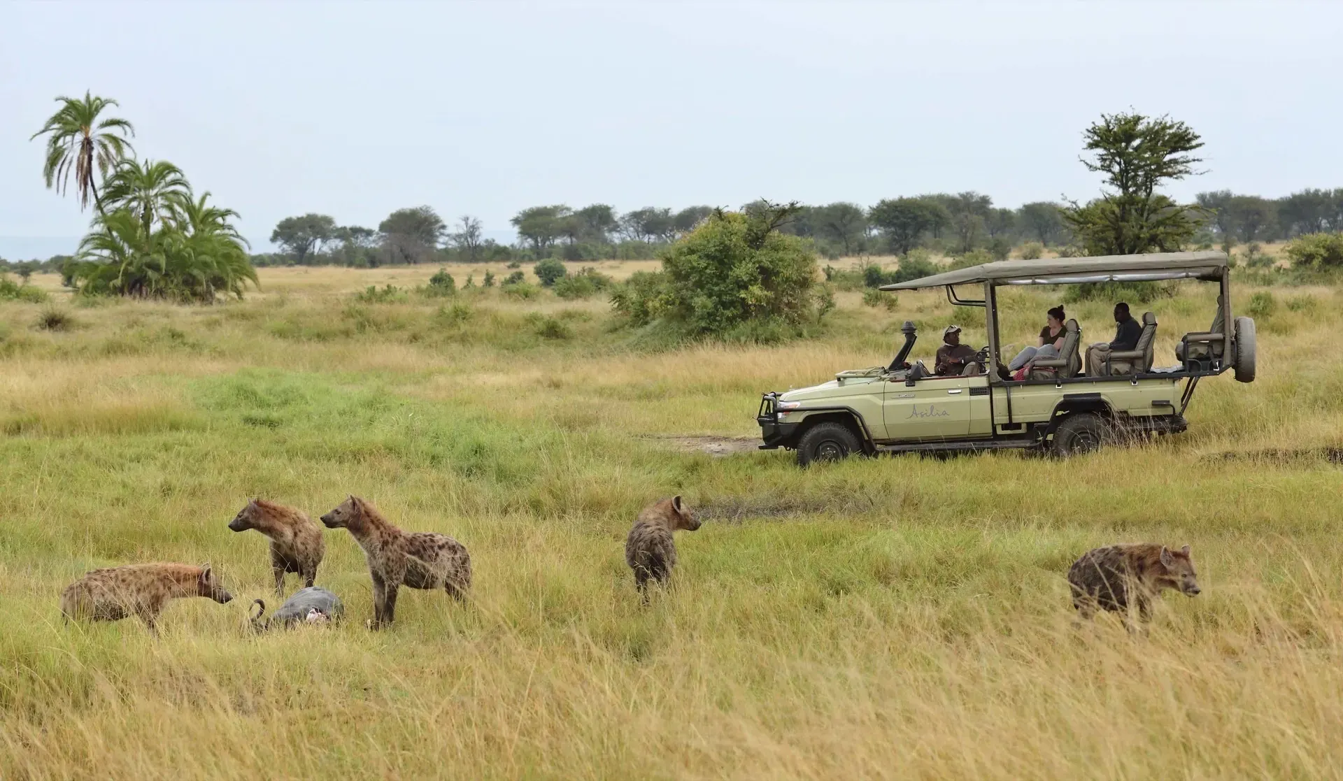 Private Migration Crossing with Sayari Camp