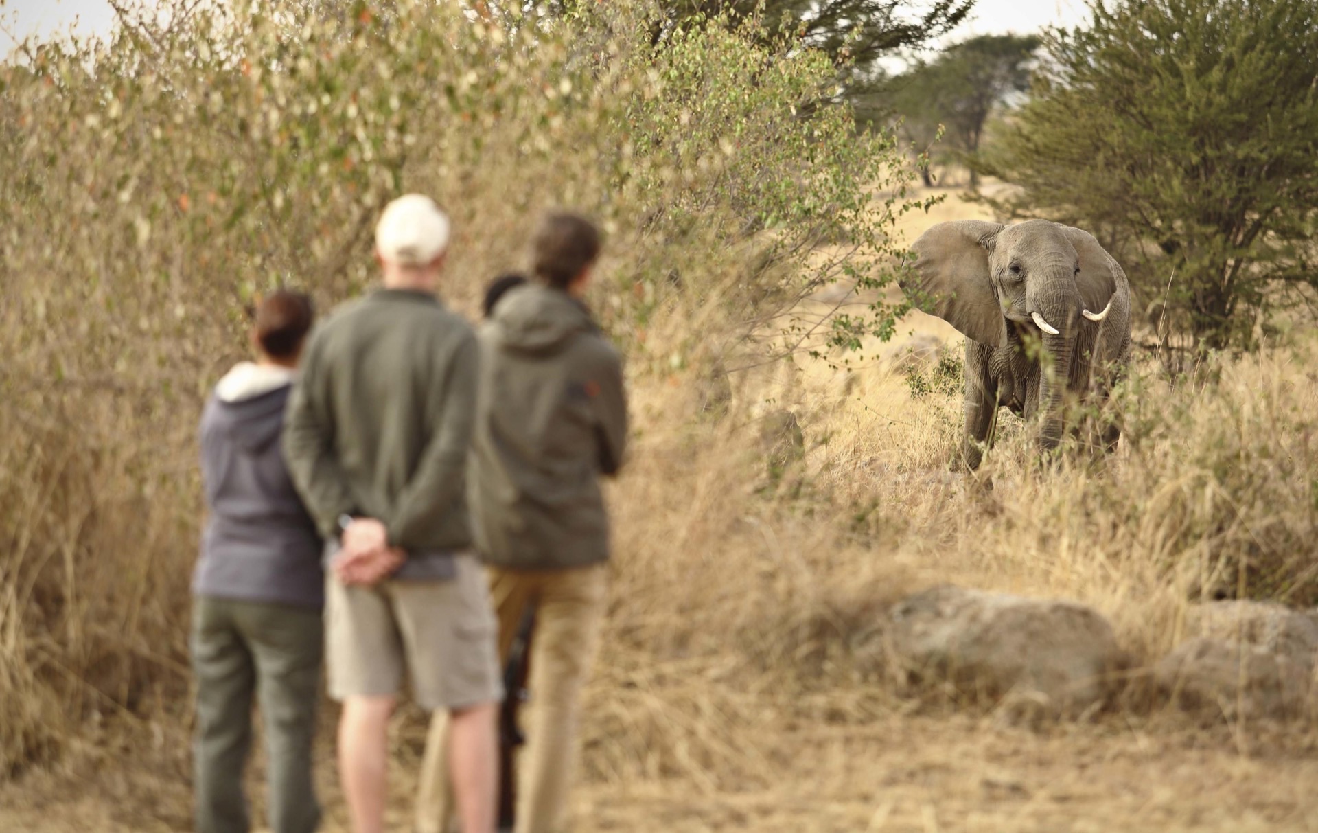 7-Day Tanzania Northern Circuit