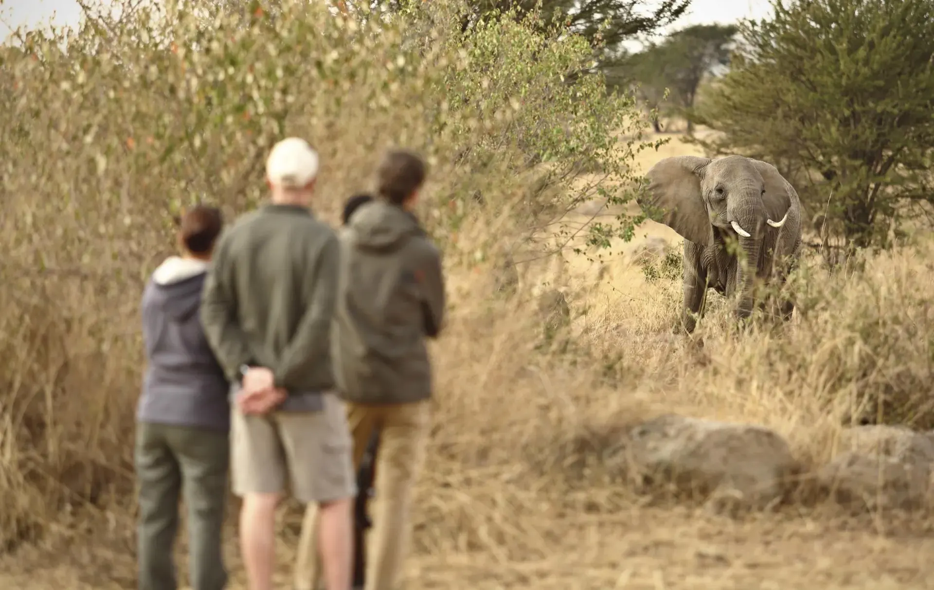 Tanzania