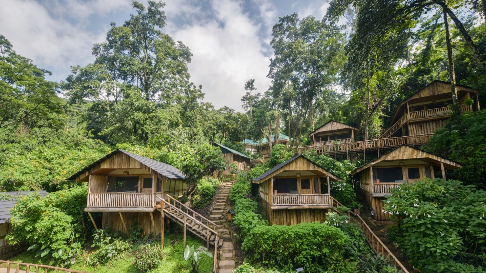 Forest cabins at Buhoma Lodge on the edge of Bwindi Impenetrable Forest