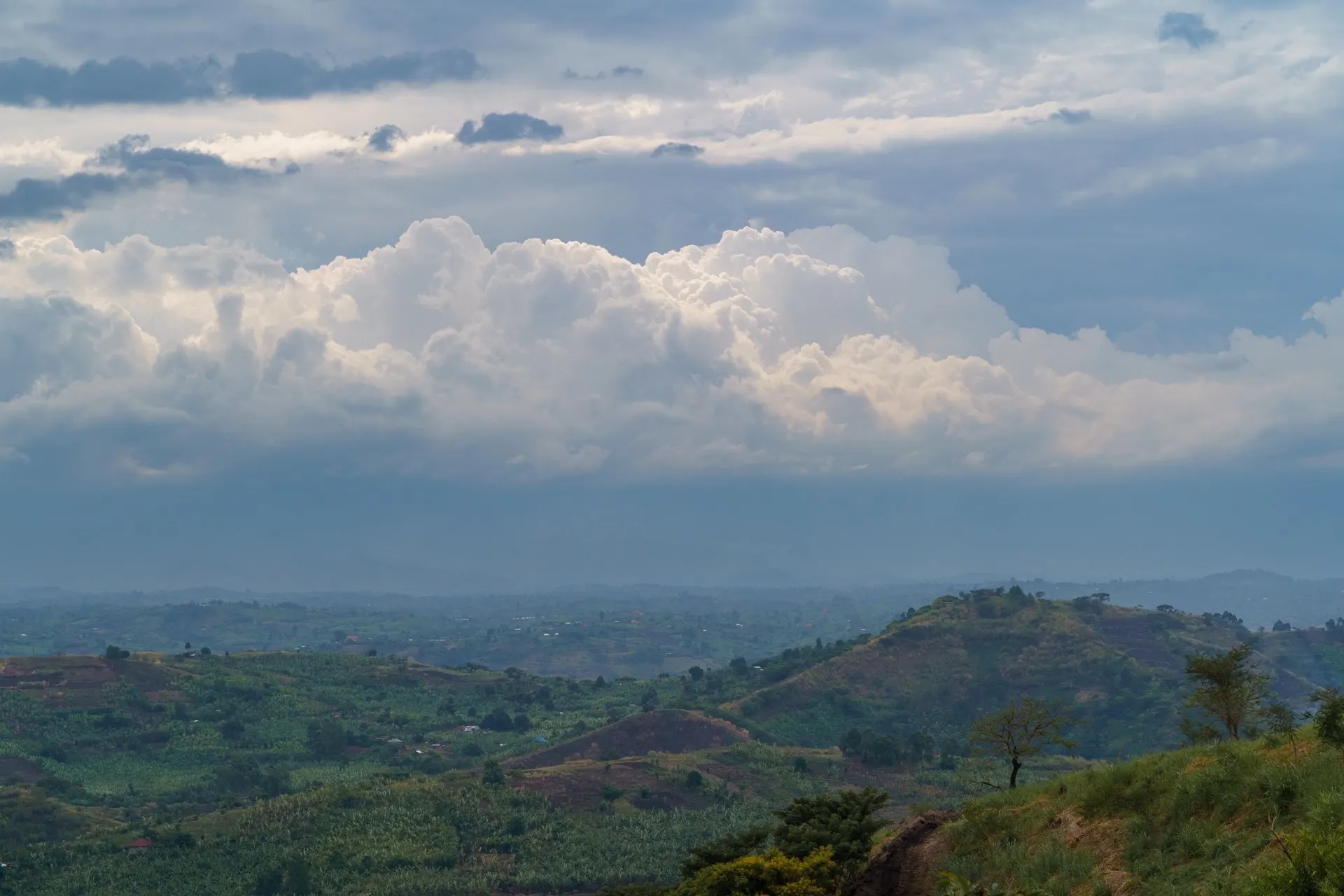 Primate Lodge Kibale
