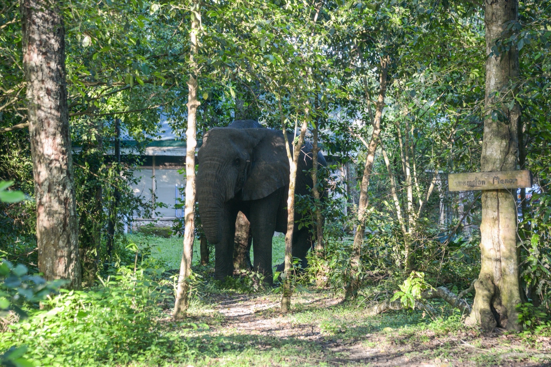 Ishasha Wilderness Camp, Queen Elizabeth National Park