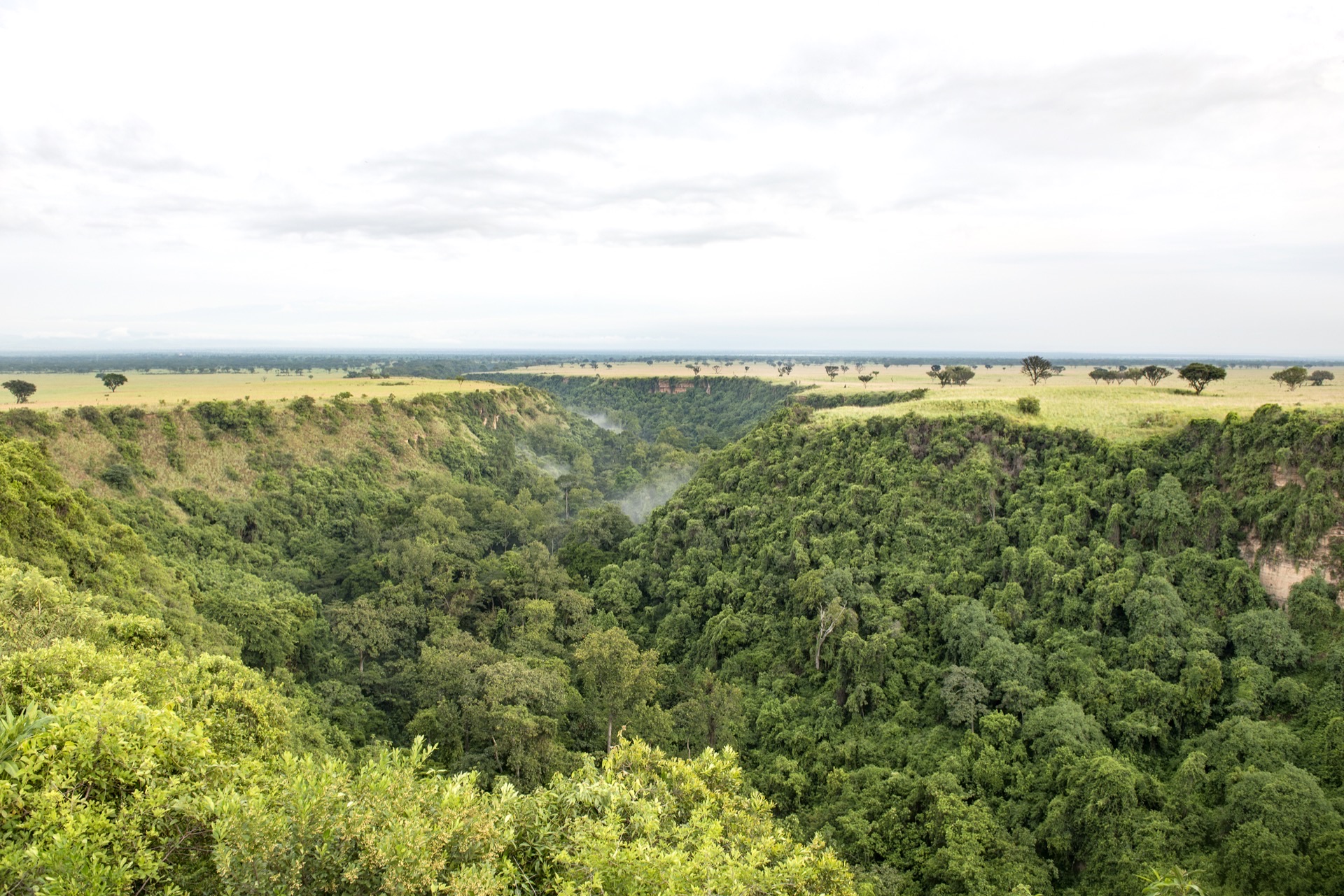 Aerial view of Kyambura Gorge, Queen Elizabeth National Park, Uganda