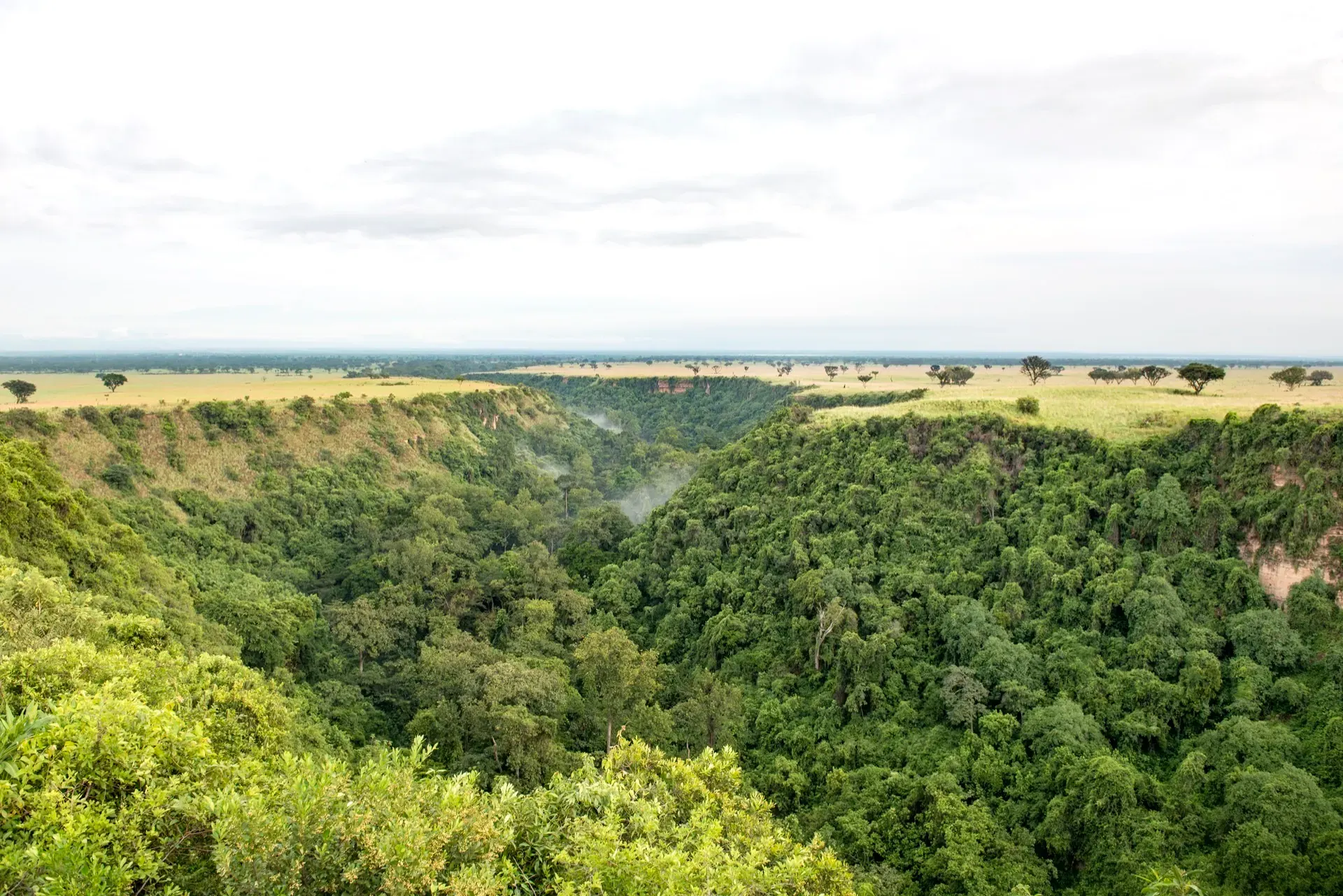 Kyambura Gorge Chimpanzee Trekking