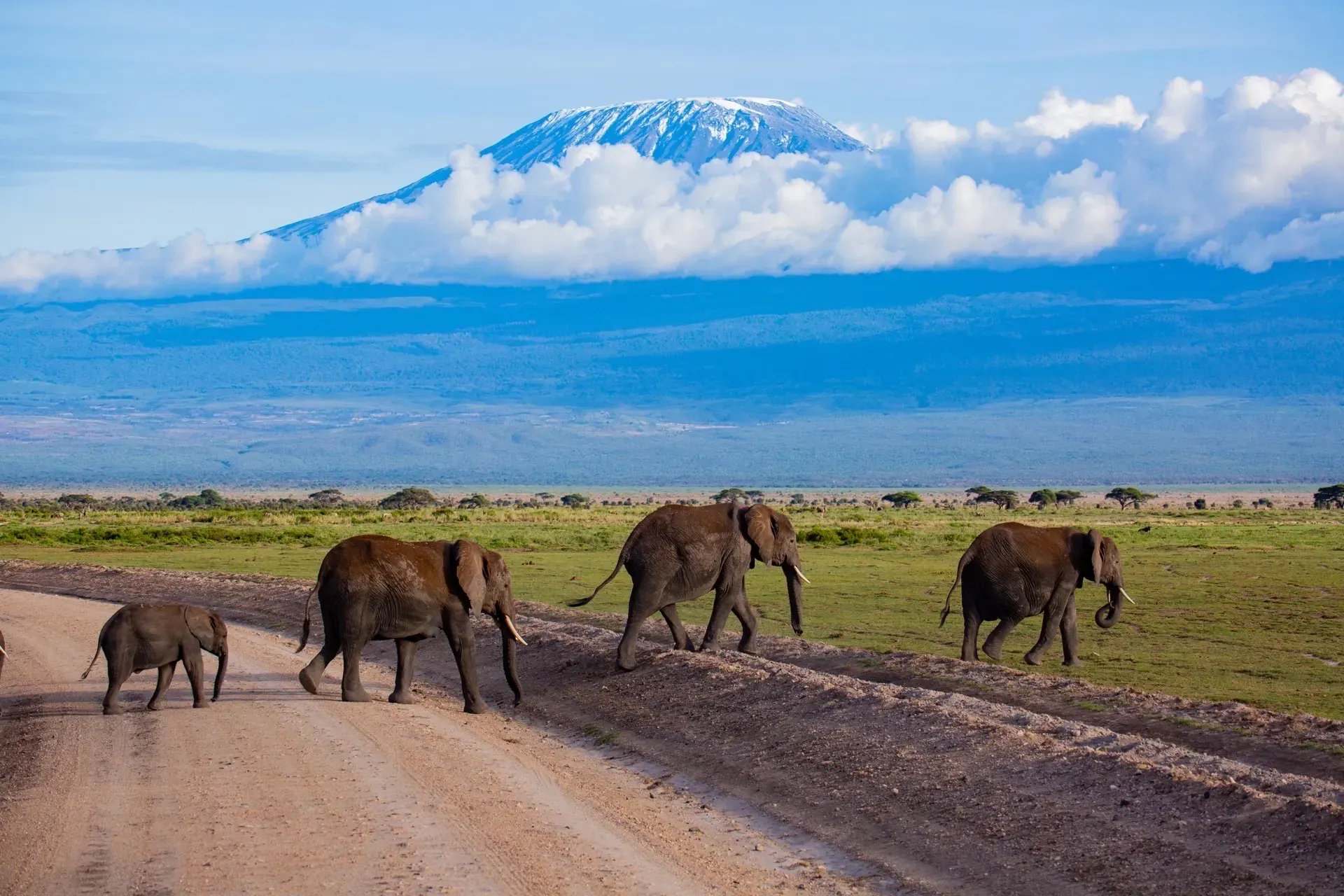 Amboseli National Park