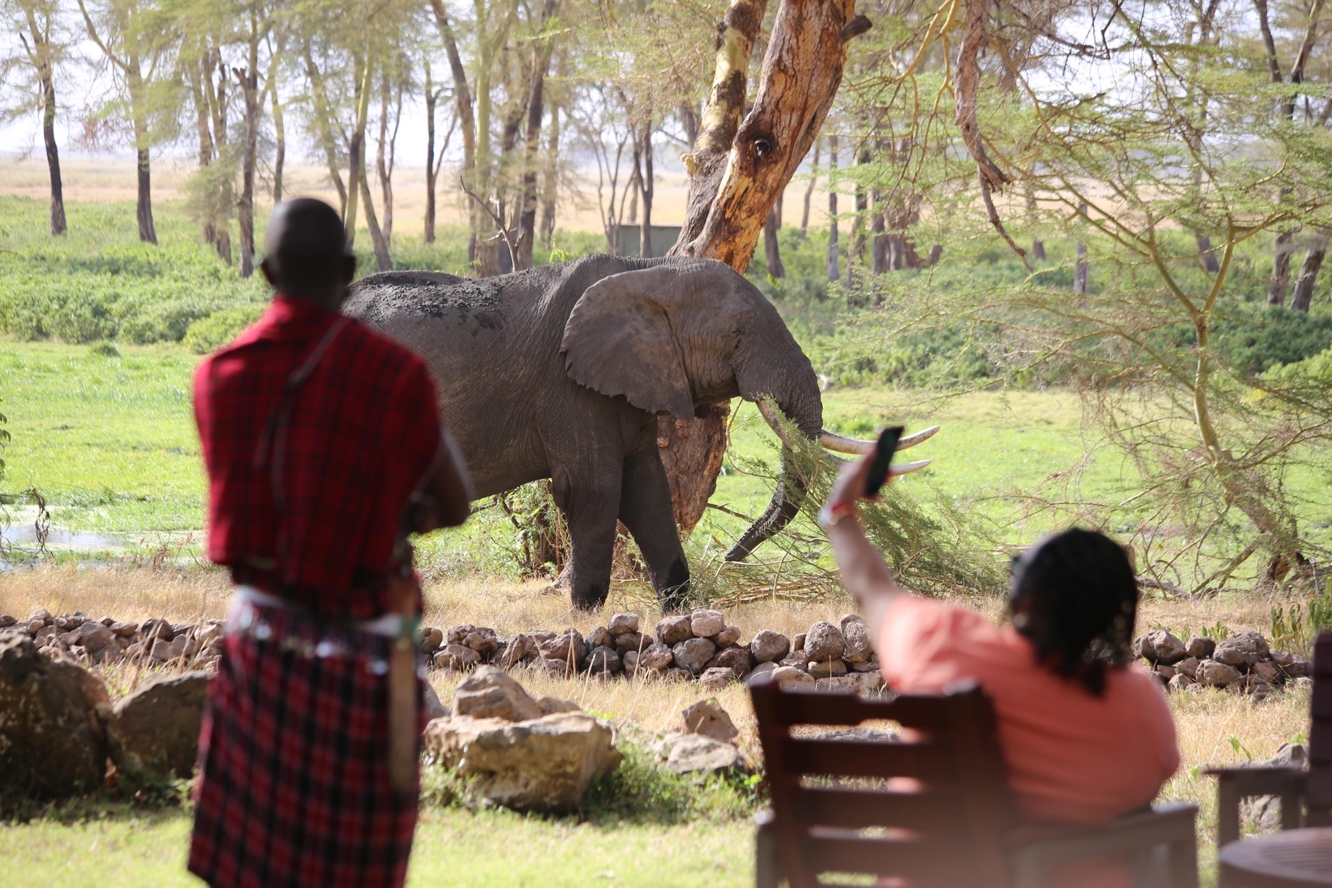 Elephants at a waterhole in Amboseli National Park