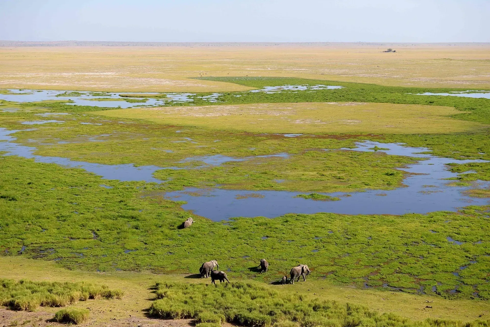 A Full Day in Amboseli