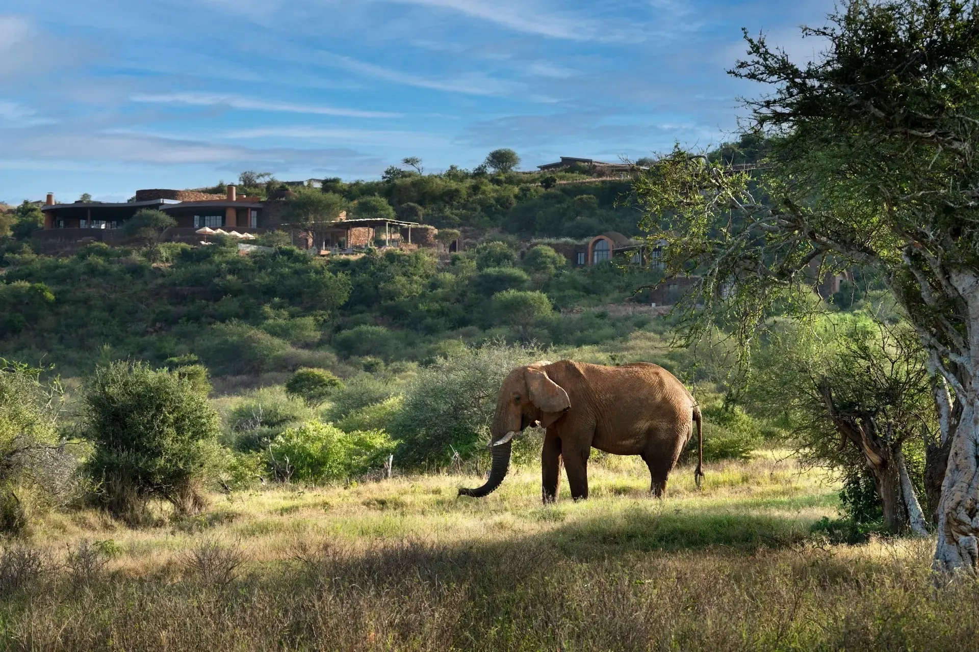 Laikipia & Loisaba