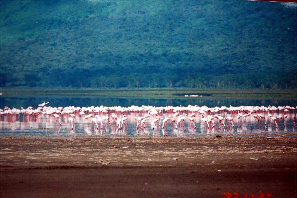 Lake Nakuru National Park