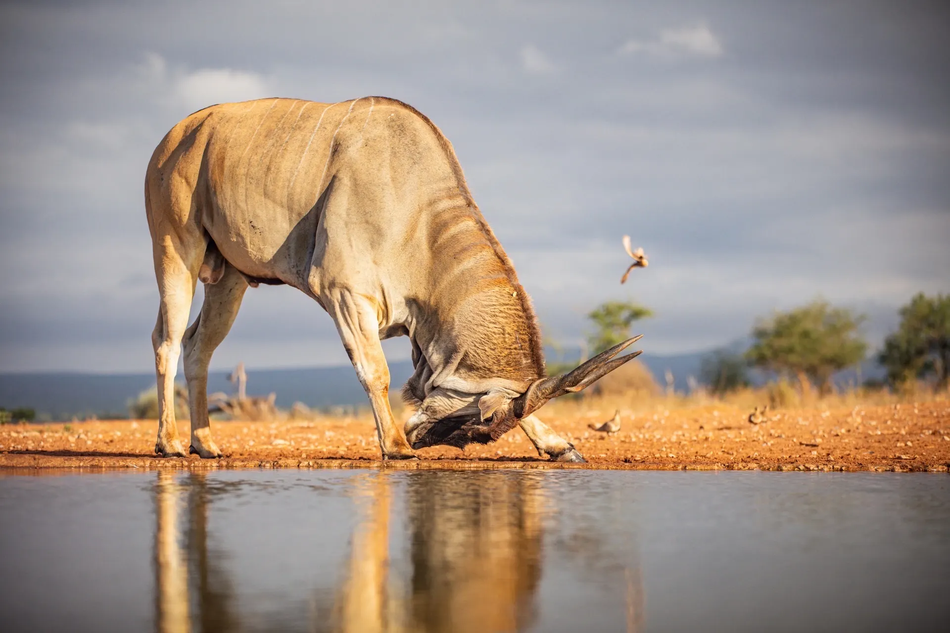 Tsavo National Park