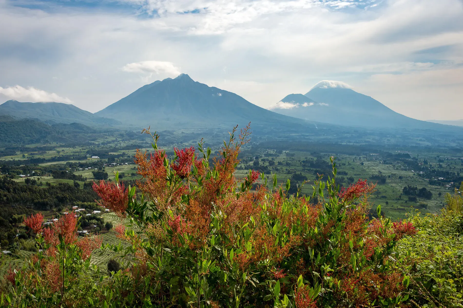 Dian Fossey Tomb Trail
