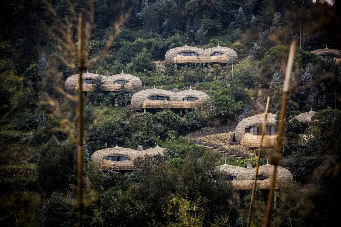 Behind-the-Scenes Briefing — Karisoke Research Centre