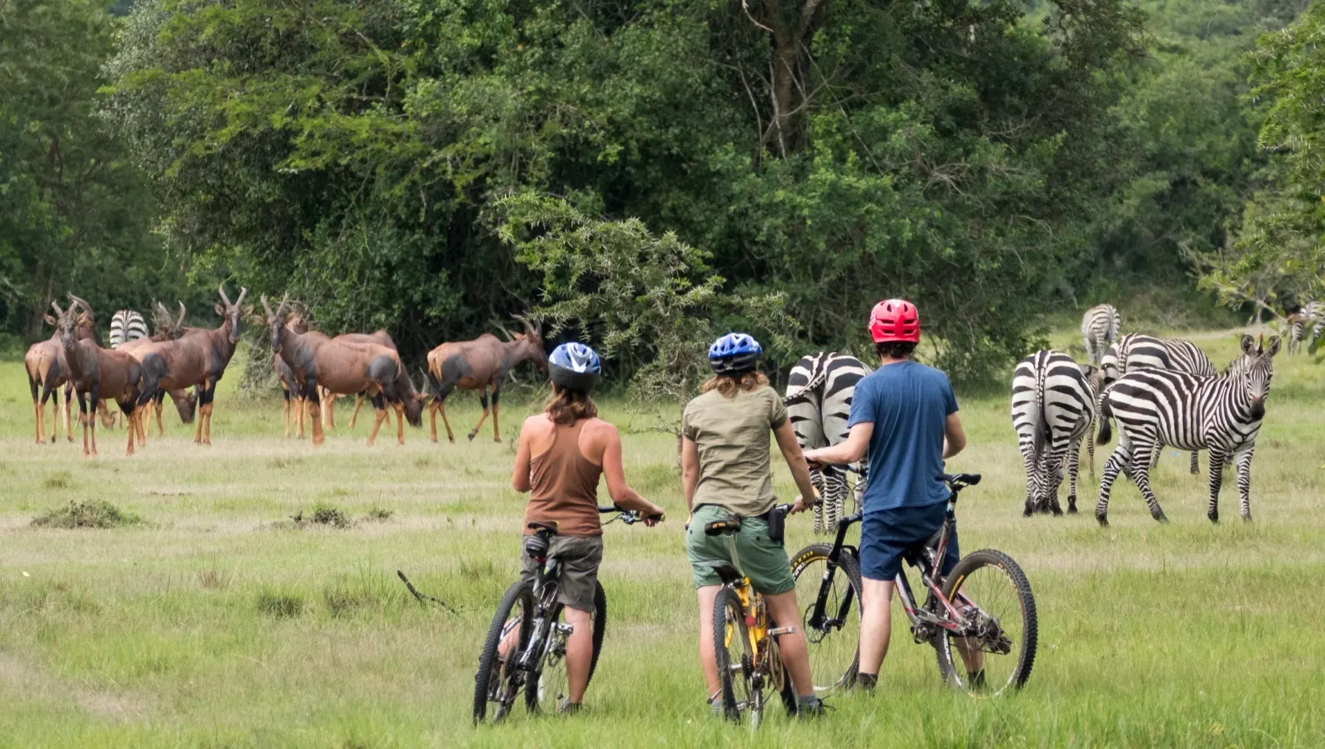 Bwindi to Lake Mburo National Park