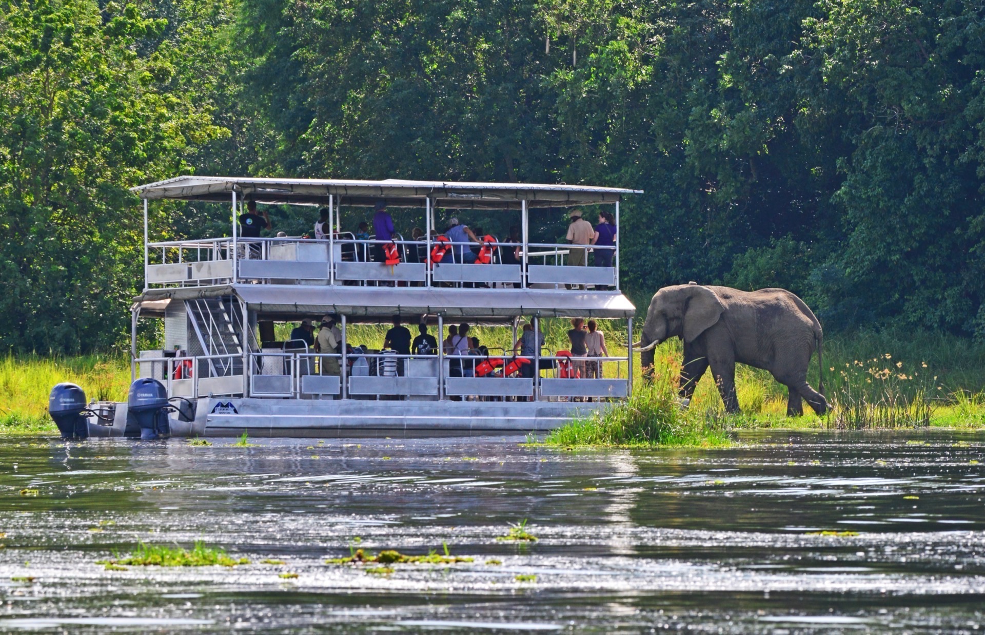 Pakuba Safari Lodge